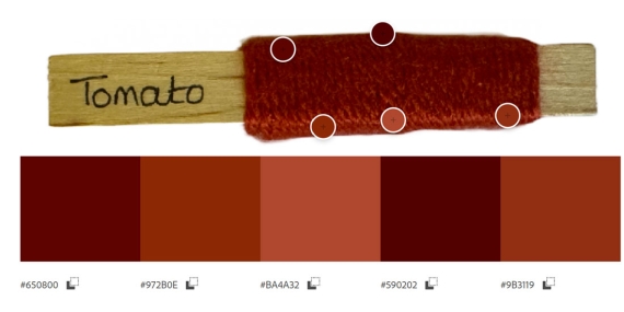 Yarn peg showing areas of sampled colours