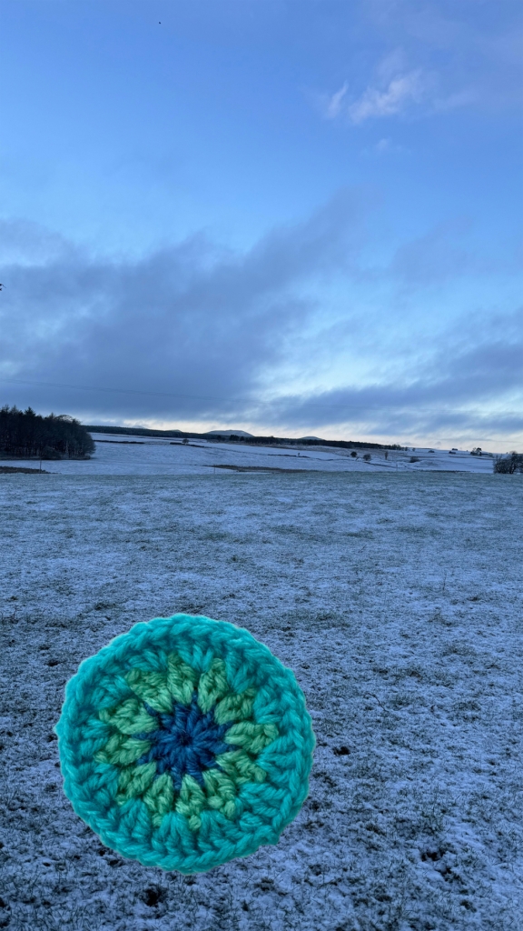 Icy cold field scene, 7 February 2024